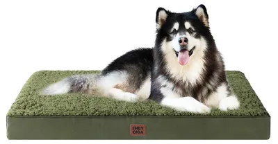 Immagine prodotto di Cuccia ortopedica per cani, taglia XXL, 120x74 cm, lavabile, colore verde oliva