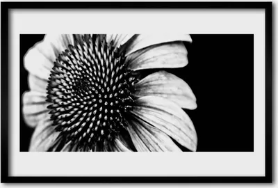 Produktbild von Bild 60x40 MDF-Rahmen Wandkunst Natur Blume Pflanze