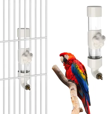 Immagine prodotto di Borraccia automatica per l'acqua per parrocchetti e pappagalli, capacità 300 ml