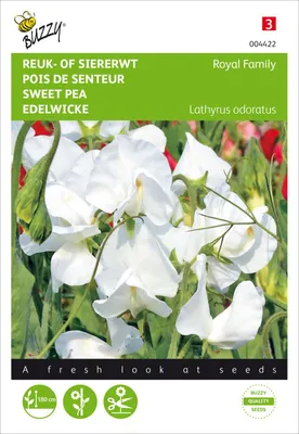 Produktbild von Duftwicke Royal Weiß | Wickensamen von Buzzy Seeds