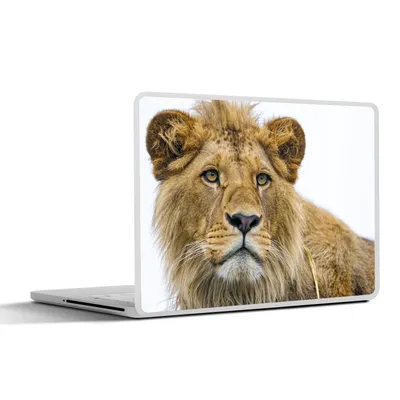 Produktbild von MuchoWow® Laptop Aufkleber Sticker Cover Löwe - Weiß - Porträt 25x18 cm - Laptop-Deko