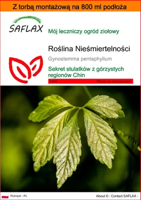 Zdjęcie produktu dla SAFLAX - Garden in the bag - Roślina Nieśmiertelności - 30 Nasiona - Z podłożem uprawowym w praktycznej, samorozkładającej się torbie - Gynostemma pentaphyllum