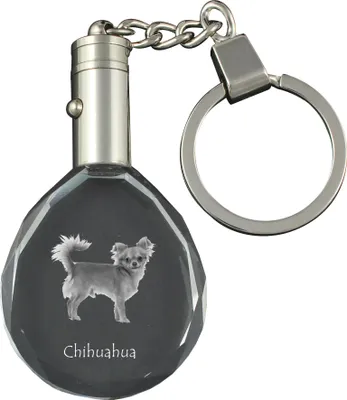 Produktbild von Chihuahua Langhaar - Anhänger mit einem Foto eines Hundes, Schlüsselanhänger aus Kristall in einer Geschenkbox, ein einzigartiges Geschenk von Art-Dog