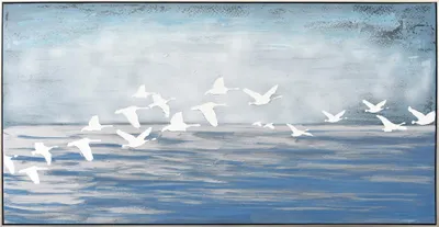 Produktbild von ArtUniverse Leinwandbild Weiße Möwen 72,5 x 142,5 cm