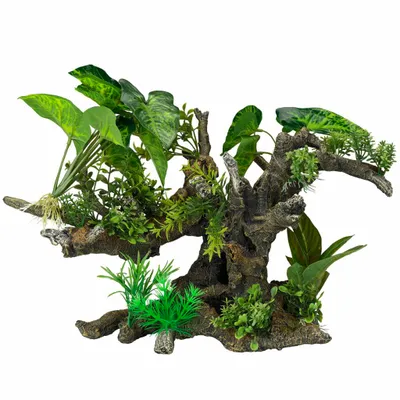 Productafbeelding van Aqua D'ella Florascape 10 XXL 41x23,5x31CM