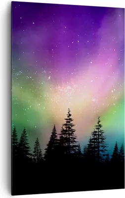 Produktbild von Bild auf Leinwand - Leinwandbild - Einteilig - Aurora Polar Nacht - 80x120cm - Wand Bild - Wanddeko - Wandbilder - Leinwanddruck - Wanddekoration - Leinwand bilder - Wandbild - PA80x120-3454
