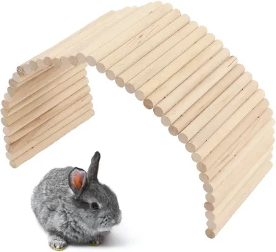 Sonstiges Kleintierzubehör, Hauptbild