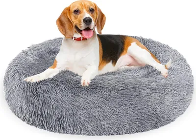Produktbild von Eikuavons Hundebett 80 cm Hellgrau, weiches rundes Haustierbett aus Langplüsch mit hohem Rand und Antirutschboden