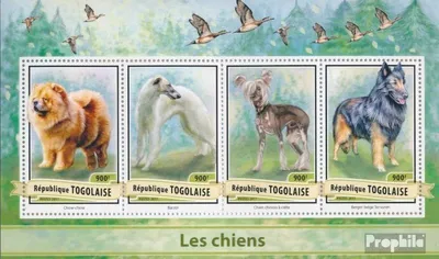 Produktbild von Briefmarken Togo 2017 Mi 7979-7982 Kleinbogen (kompl. Ausgabe) postfrisch Hunde