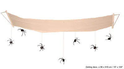 Image de Décor de plafond araignée 38x310cm