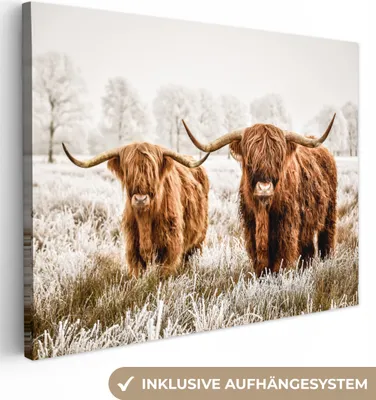 Produktbild von MuchoWow® - Leinwandbilder - Schottischer Highlander - Tiere - Stier, Wandbild, Wanddeko Bilder Wohnzimmer, 120x90 cm
