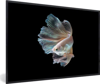 Produktbild von MuchoWow® MuchoWow® Gerahmtes Poster Fisch - Schwanz - Schwarz 90x60 cm - Poster mit zchwarzem Bilderrahmen - Fotorahmen - Foto-Plakat
