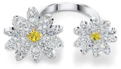 Image de Swarovski Bijoux 5534948