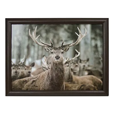 Produktbild von Mars&More knietablett winter hirsch RNLTWH