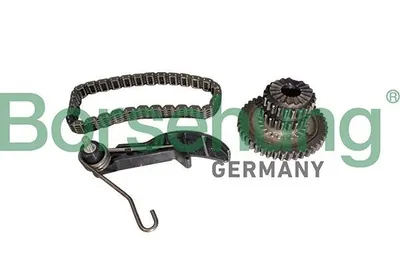 Produktbild von Borsehung Kettensatz Ölpumpenantrieb B10218 für VW Golf VII Schrägheck (5G1, BQ1, BE1, BE2)