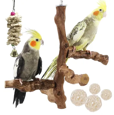 Image de Perroquet en bois naturel avec jouet à mâcher - Lot de 6 pour perroquets et perruches