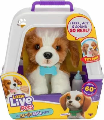 Obrázok produktu pre Moose Toys My Really Real Puppy, Chlapec / dievča, 4 rok / roky, Svetelné efekty, Zvukové efekty