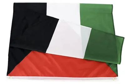 Palästina-Flagge 152,4 x 91,44 cm, Polyester, mit Ösen