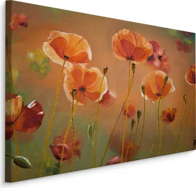 Produktbild von Fabelhafte Canvas LEINWAND BILDER 40x30 cm XXL Kunstdruck Natur Blumen Mohnblumen