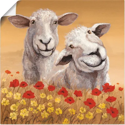 Produktbild von ARTland Poster Schafe Größe: 40x40 cm