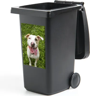 Produktbild von MuchoWow® - Mültonnen-sticker - Sticker - Aufkleber für die Mülltonne