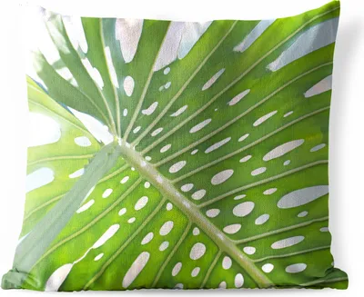Produktbild von MuchoWow® Outdoor Kissen - Ein grünes botanisches Blatt in der Sonne - 50x50 cm - Wetterfest - Lounge Kissen - Komfortabel - Kissen mit Bild