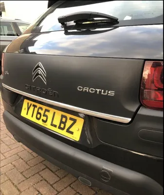 Obrázek produktu pro Citroen C4 CACTUS – CHROMOVANÉ PRUHY Chromovaná zadní výklopná dveře