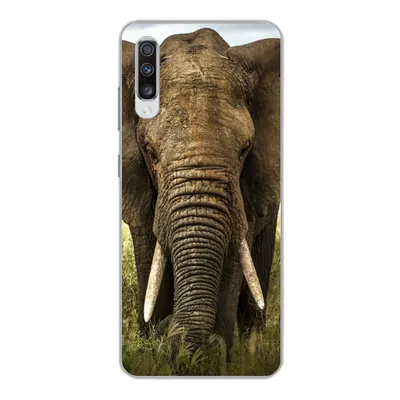 Produktbild von MuchoWow® Handyhülle Schutzhülle Hülle für Samsung Galaxy A70 Elefant - Natur - Gras - Tiere - Landschaft Silikon Softcase Handy Hülle - Schutzhaube