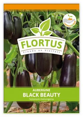 Produktbild von Aubergine Black Beauty | Auberginensamen von FLORTUS