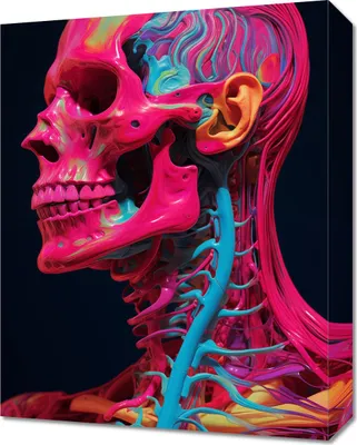 Produktbild von Bild 40x50cm Anatomie der Farbe