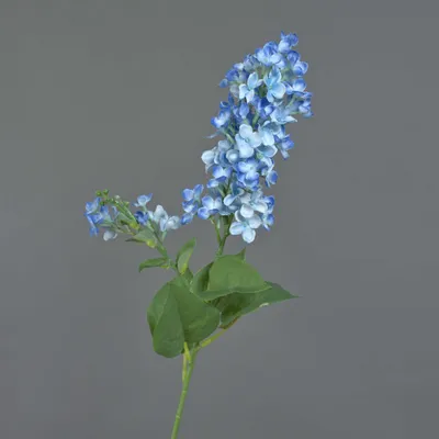 Produktbild von artplants.de Kunstblume Flieder NAJUAN, blau, 80 cm - Künstliche Stielblume