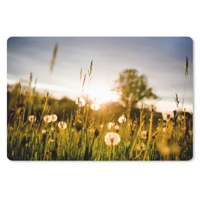Produktbild von MuchoWow® Mauspad Mousepad Löwenzahn - Gras - Sonnenuntergang 27x18 cm - Mousepads - Maus Mat - Pad - Mausunterlage - Büroartikel - Desk Matten