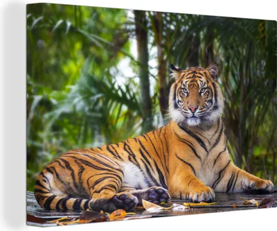 Produktbild von OneMillionCanvasses® - Leinwandbilder - 150x100 cm, Tiger - Tiere - Wald - Dschungel, Wandbilder Kunstdruck Wanddekoration - Foto auf Leinwand - Gemälde auf Holzrahmen
