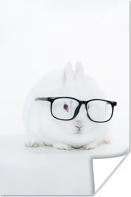 Produktbild von MuchoWow® Poster Kaninchen - Brille - Hipster 60x90 cm - Wanddekoration