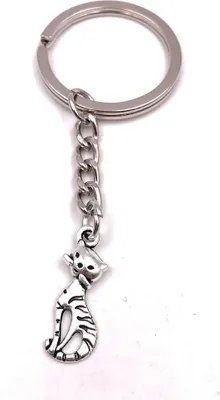 Image de Onwomania Porte-clés chat animal de compagnie chat argent pendentif Keychain