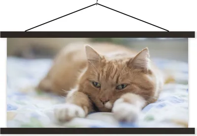 Produktbild von MuchoWow® Textilposter Katze - Bett - Tagesdecke - Mädchen - Kinder - Kinder - Kind 60x30 cm mit schwarzem Rahmen - Textilien