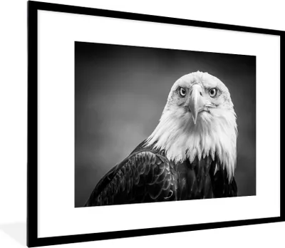 Produktbild von MuchoWow® Gerahmtes Poster Adler - Raubvogel - Schwarz - Weiß - Tiere 80x60 cm - Poster mit Schwarzem Bilderrahmen Wandposter Rahmen Foto Bilder - Schlafzimmer-Dekorationen - Fotoposter