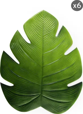 Image de Excelsa set de 6 sets de table Tropical plastique 46,5x37 cm vert