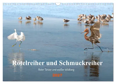 Produktbild von Rötelreiher und Schmuckreiher (Wandkalender 2027 DIN A3 quer), CALVENDO Monatskalender