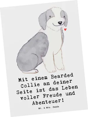 Produktbild von Mr. & Mrs. Panda Postkarte Bearded Collie Freund - Weiß - Geschenk, Postkarten, Ansichtskarten, Grußkarte, Abenteuer, Hunderassen, Eigenschaften, einzelkarte, Hunde