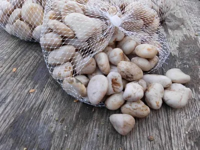 Produktbild von 3 Kilo Flusssteine Dekosteine Zierkies Flusskiesel creme 1-3 cm