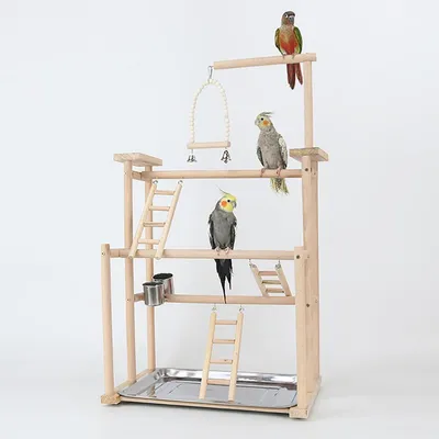 Immagine prodotto di Area gioco in legno, dimensioni 44x31x79 cm, adatta per parrocchetti ondulati e parrocchetti neri