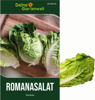 Produktbild von Romanasalat Xanadu Samen - Lactuca sativa - Romanasalatsamen - Gemüsesamen - Saatgut für 150 Pflanzen