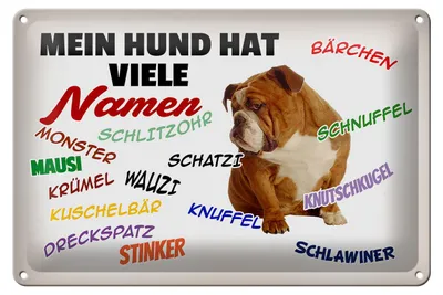 Produktbild von Blechschild Spruch 30x20cm mein Hund hat viele Namen