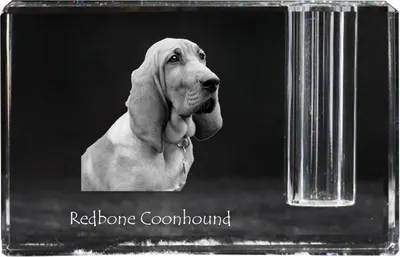 Obrázok produktu pre Art-Dog Stojan na pero – Redbone Coonhound