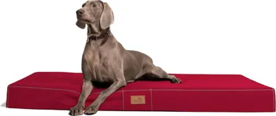 Produktbild von tierlando Hundematratze HUGO BASIC M L XL XXL 80 bis 150 cm - Größe: 100x80cm | Farbe: 04 Dunkelrot