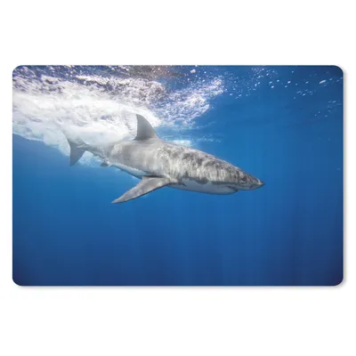 Produktbild von MuchoWow® Schreibtischunterlage Hai - Meer - Wasser 60x40 cm - XXL Mauspad - Großes Mauspad