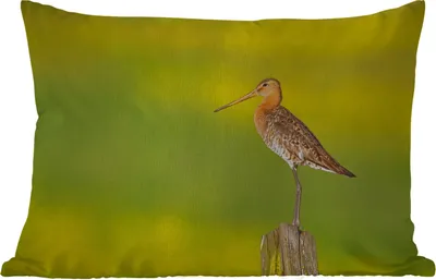 Produktbild von MuchoWow® Outdoor Kissen - Vogel - Tiere - Uferschnepfe - Pfahl - Grün - 60x40 cm - Wetterfest - Lounge Kissen - Zierkissen - Kissen für Innenräume