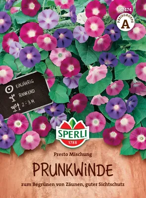 Artikelbild 2 von 'Prunkwinde Presto Mischung' aus der Kategorie Blumensamen