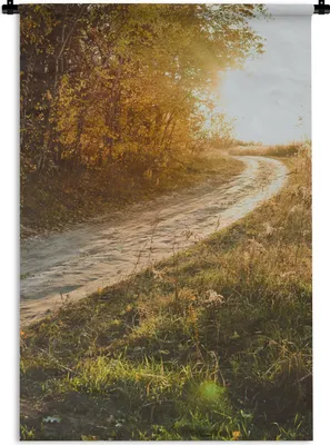 Produktbild von MuchoWow® Wandteppich Wandbehang Weg - Natur - Baum 60x90 cm Tapisserie Dekoration Wandtuch - Foto-Teppich - Abwaschbar